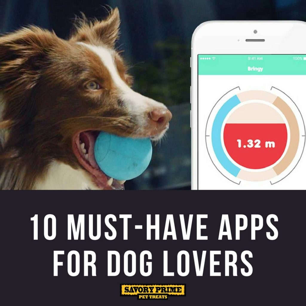 10 MustHave Apps for Dog Lovers Savory Prime Pet Treats