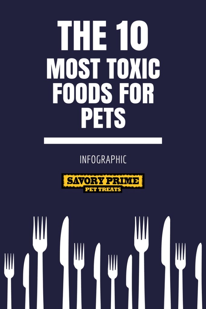 The 10 Most Toxic Foods for Pets Savory Prime Pet Treats