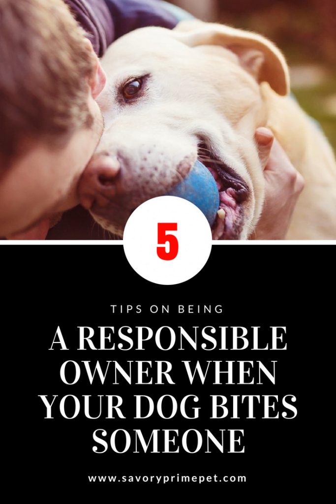 5tipswhendogbitessomeone Savory Prime Pet Treats