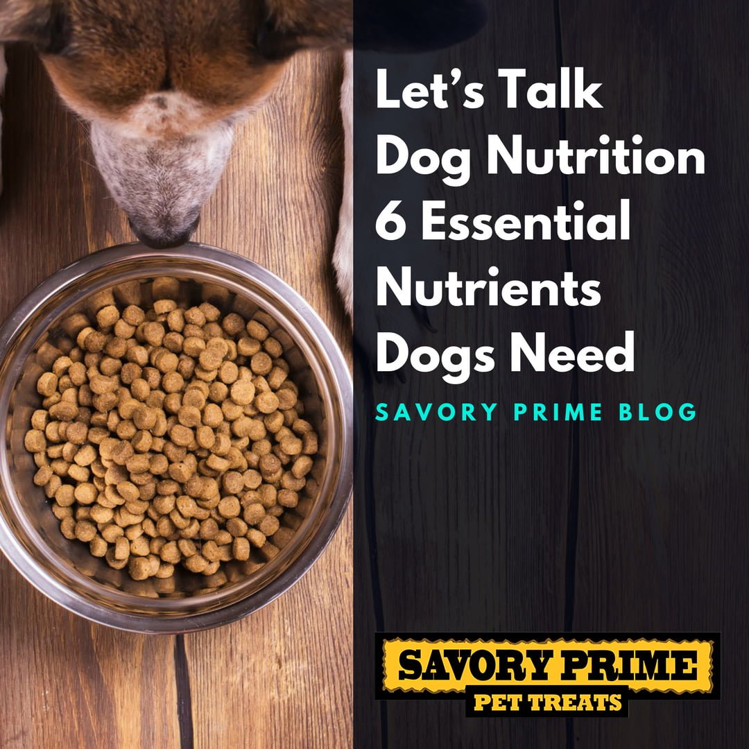 Does Dog Food Have Enough Nutrients