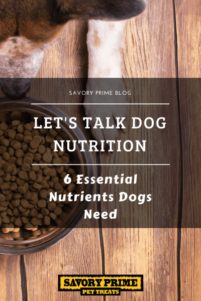Let’s Talk Dog Nutrition — 6 Essential Nutrients Dogs Need - Savory ...