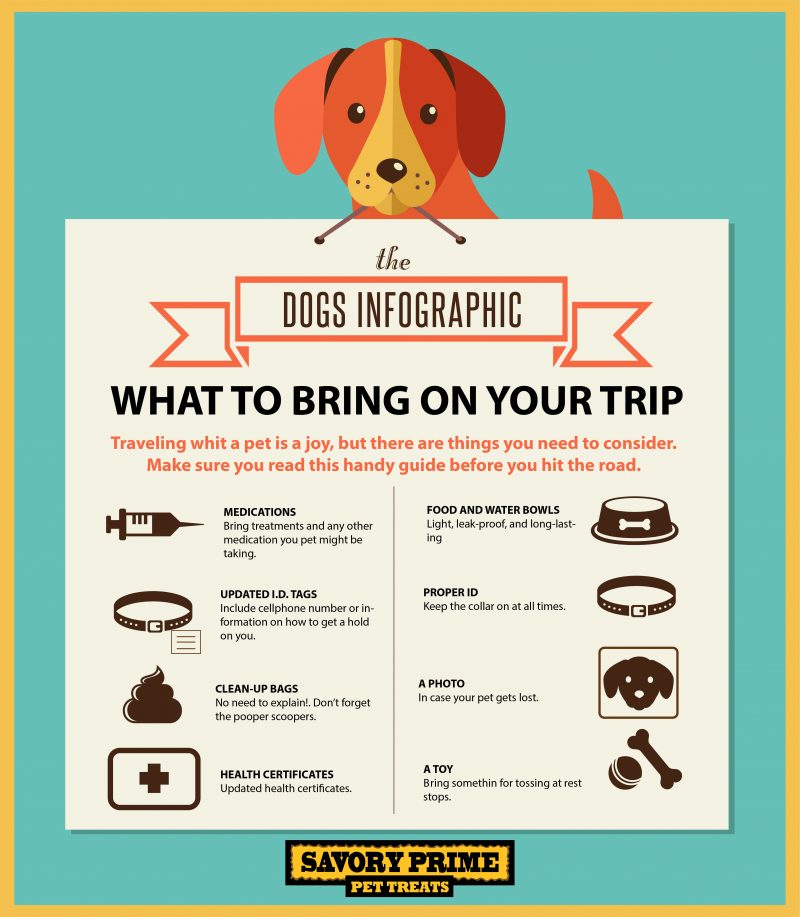 HOW TO PREPARE FOR A VACATION WITH YOUR PET - Savory Prime Pet Treats