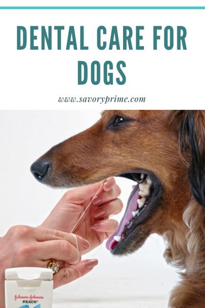 Dental Care for Dogs - Savory Prime Pet Treats