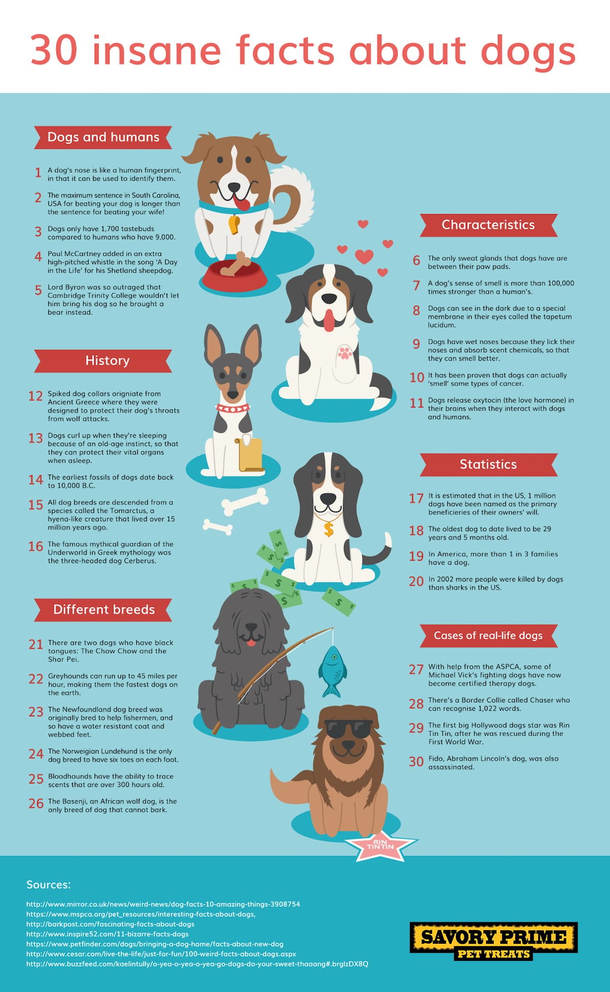 Strange facts cheap about dogs