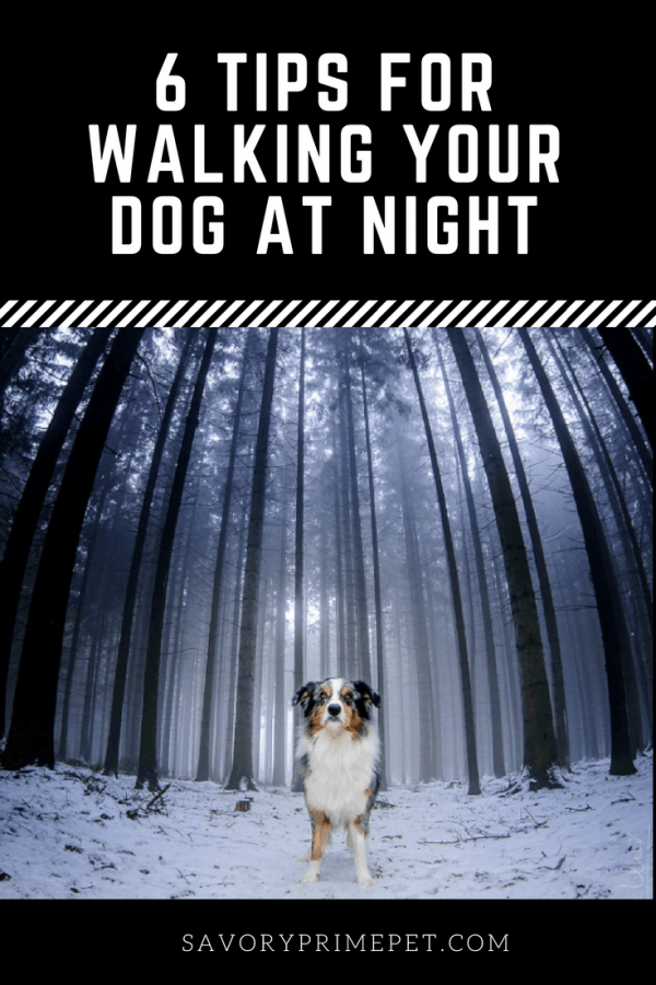 night wandering in dogs