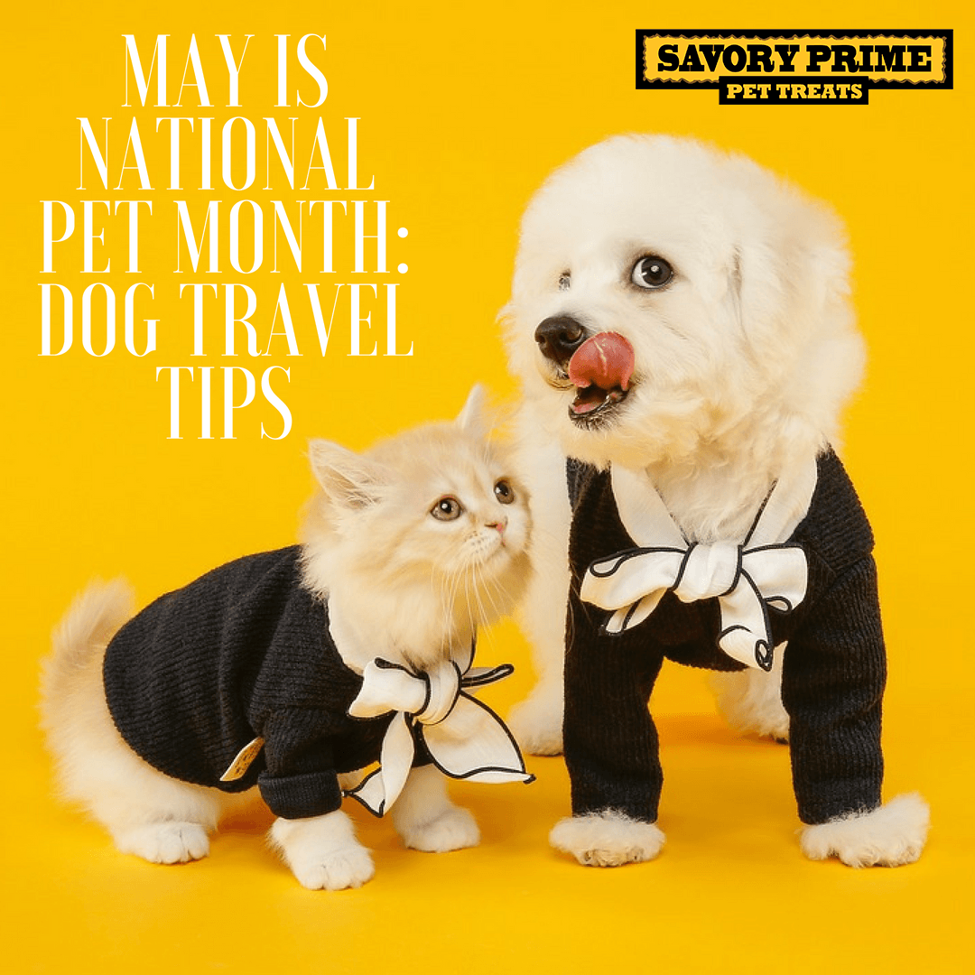 May Is National Pet Month: Dog Travel Tips - Savory Prime Pet Treats