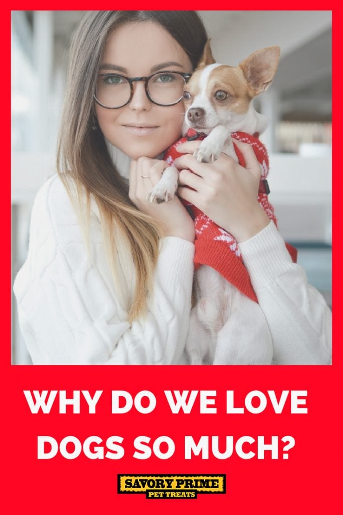 Why-Do-We-Love-Dogs-so-Much_ | Savory Prime Pet Treats