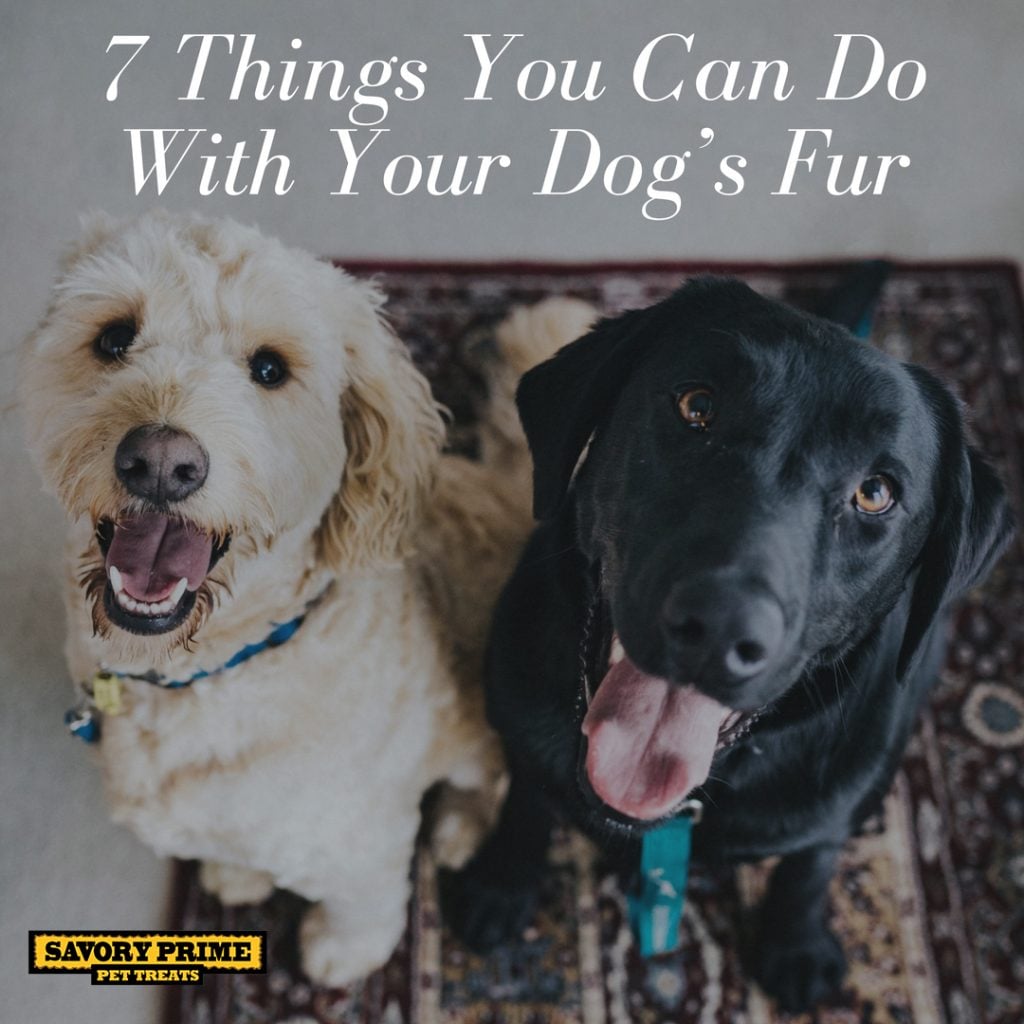 7 Things You Can Do With Your Dog’s Fur - Savory Prime Pet Treats