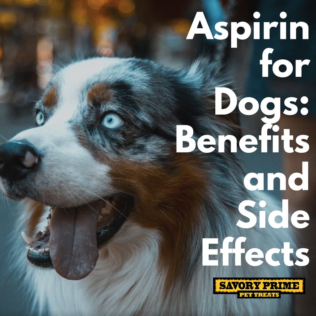 Aspirin For Dogs Benefits And Side Effects Savory Prime Pet Treats