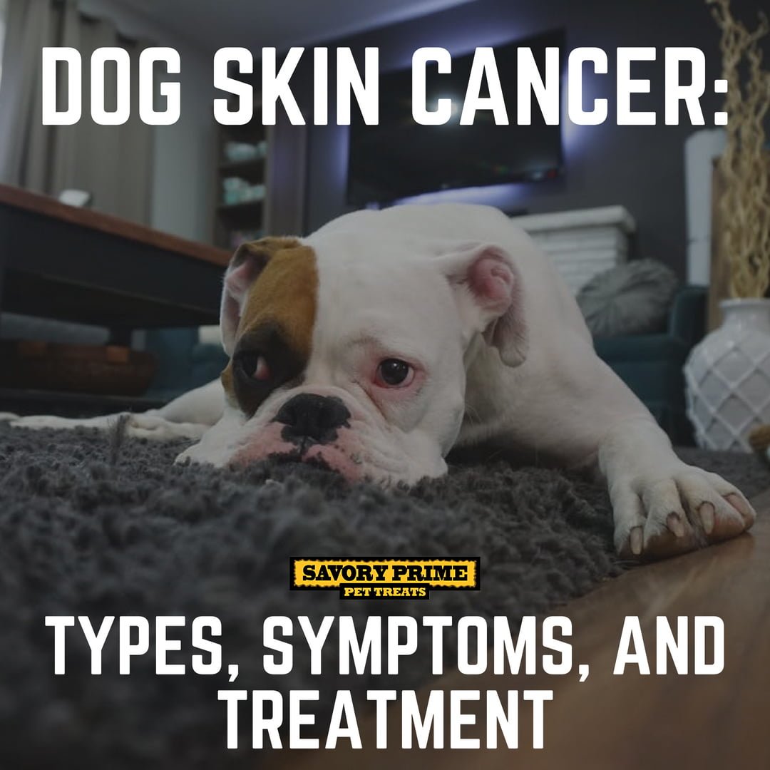 dog-skin-cancer-chart