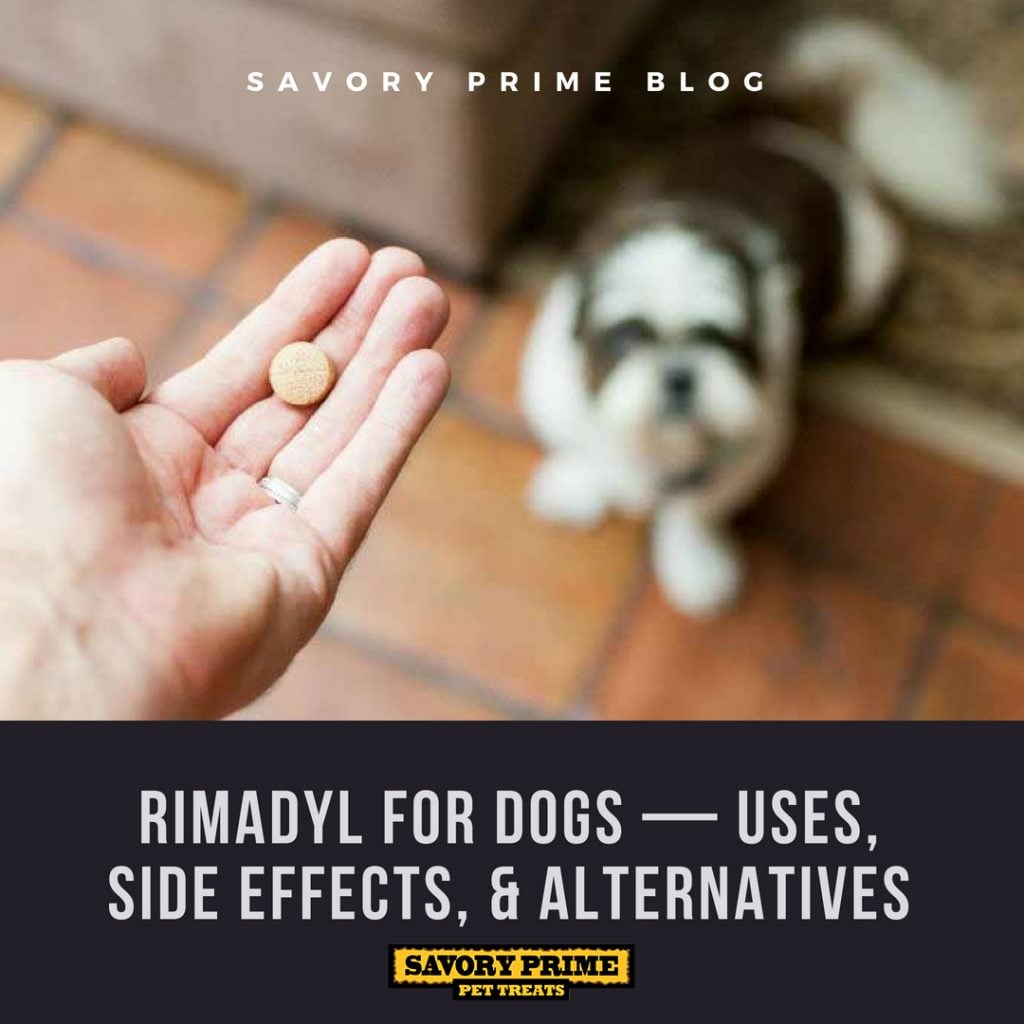 Rimadyl-for-Dogs-—-Uses,-Side-Effects,-&-Alternatives-(2) - Savory ...