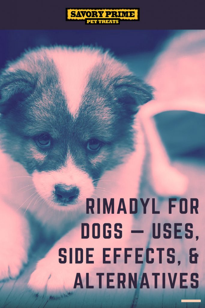 Rimadyl for Dogs — Uses, Side Effects, & Alternatives Savory Prime