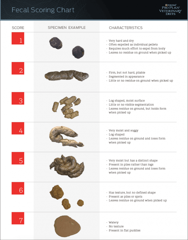 liquid poop not diarrhea