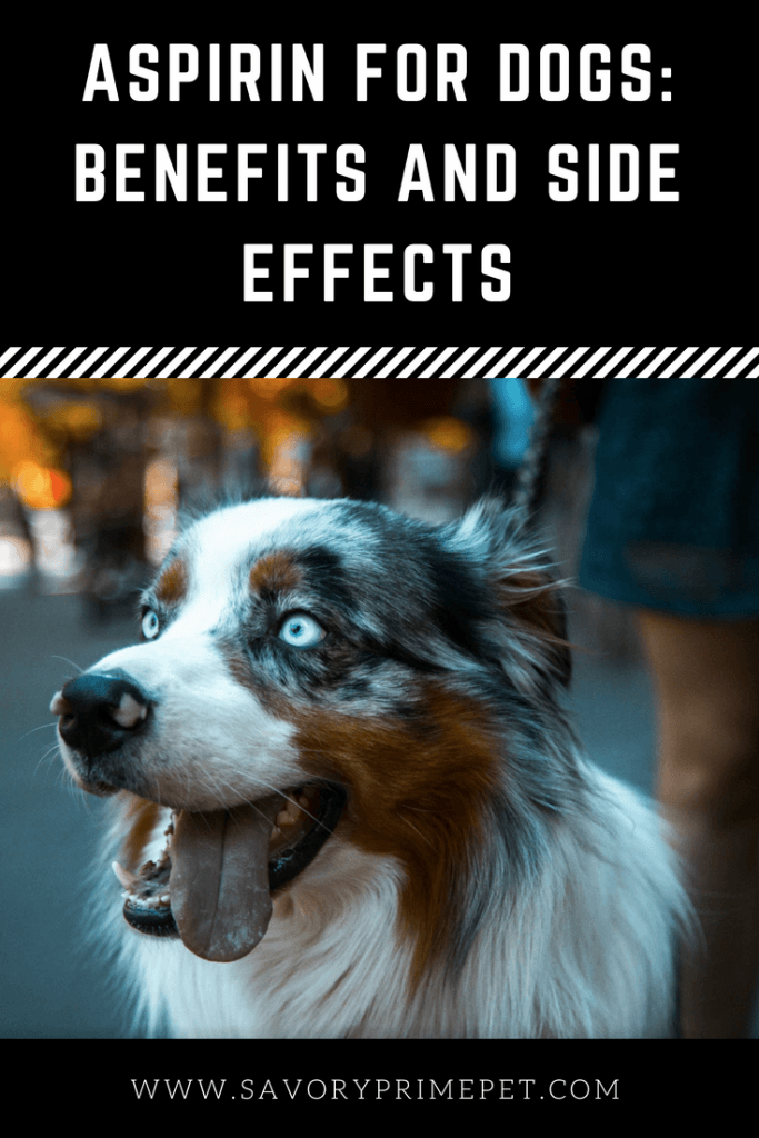 Aspirin for Dogs Benefits and Side Effects Savory Prime Pet Treats