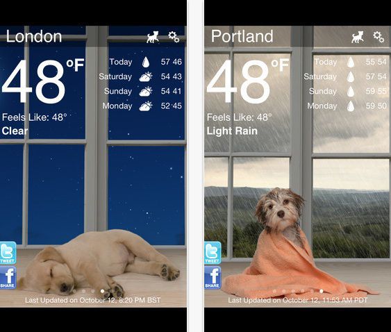 https://savoryprimepet.com/wp-content/uploads/2018/06/https_2F2Fmashable.com2Fwp-content2Fgallery2F10-must-have-apps-for-dog-owners2F10.WeatherPuppy.jpg