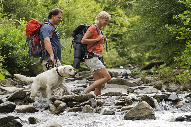 10 Fun Outdoor Activities For You & Your Dog 