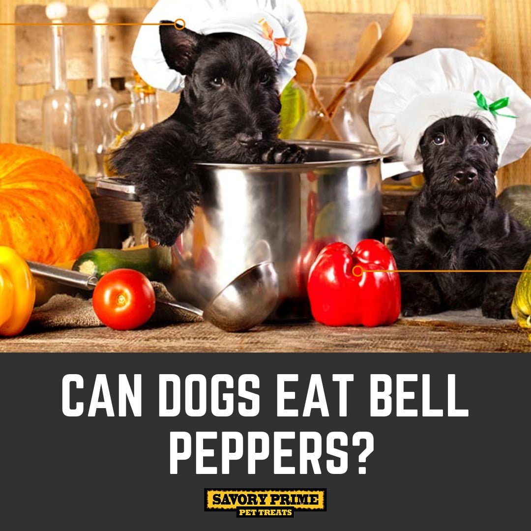 Can Dogs Eat Red Peppers Raw