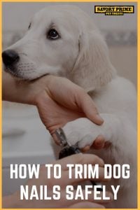 How to Trim Dog Nails Safely - Savory Prime Pet Treats
