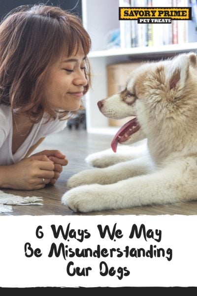 6 Ways We May Be Misunderstanding Our Dogs - Savory Prime Pet Treats