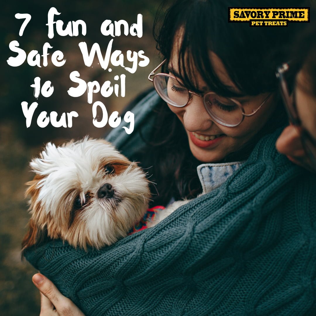 7 Fun and Safe Ways to Spoil Your Dog - Savory Prime Pet Treats