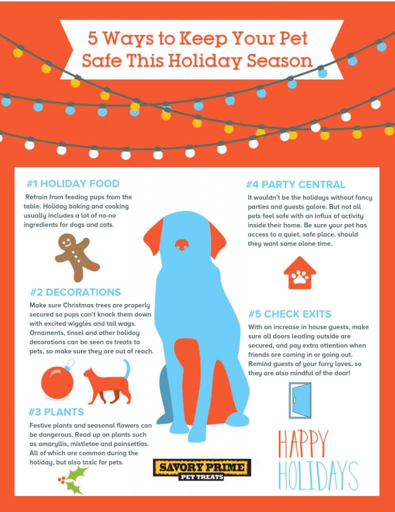 5 Ways to Keep Your Pet Safe This Holiday Season Savory Prime Pet Treats