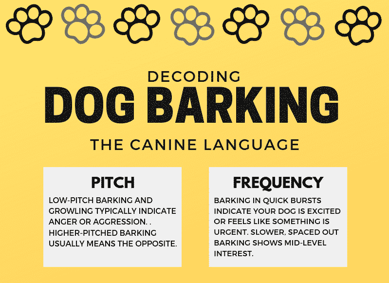 the-meaning-of-your-dog-s-barks-decoding-the-canine-language-savory