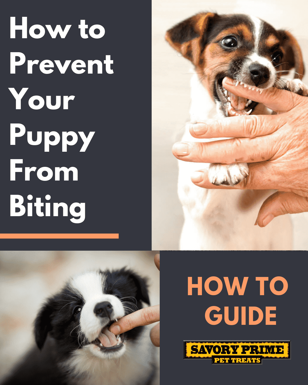 how to prevent your puppy from biting